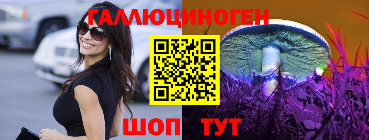 Галлюциногенные грибы MAGIC MUSHROOMS  Вход с VPN  Псилоцибиновые грибы прущие грибы  Заречный 